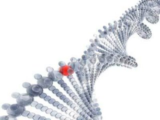 DNA“甲基化指纹”鉴定出91种肿瘤