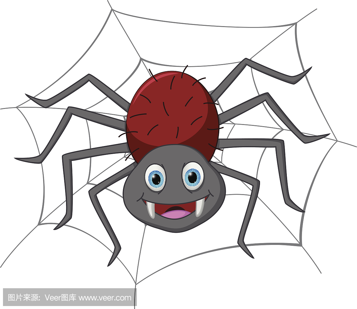 蜘蛛网,蛛网,蜘蛛丝,蜘蛛吐丝