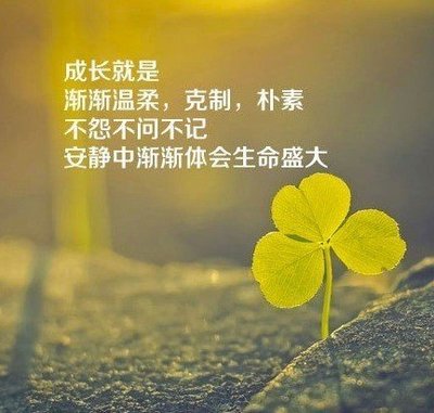 带字美景励志文字的唯美风景图文_唯美图片@-38kb
