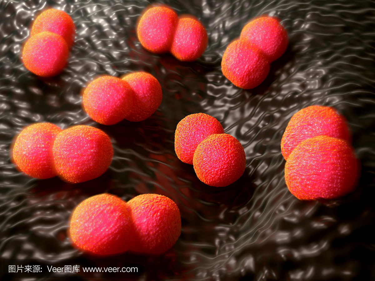 革兰氏染色剂,细菌检测,革兰氏染色法测试,细菌