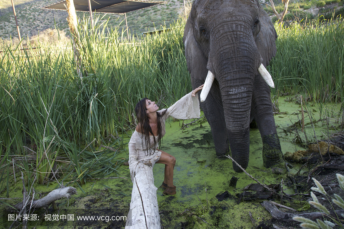 “美女”大象在沼泽地