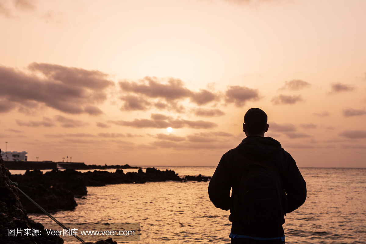 一个人,北美歌雀,剪影,夏天