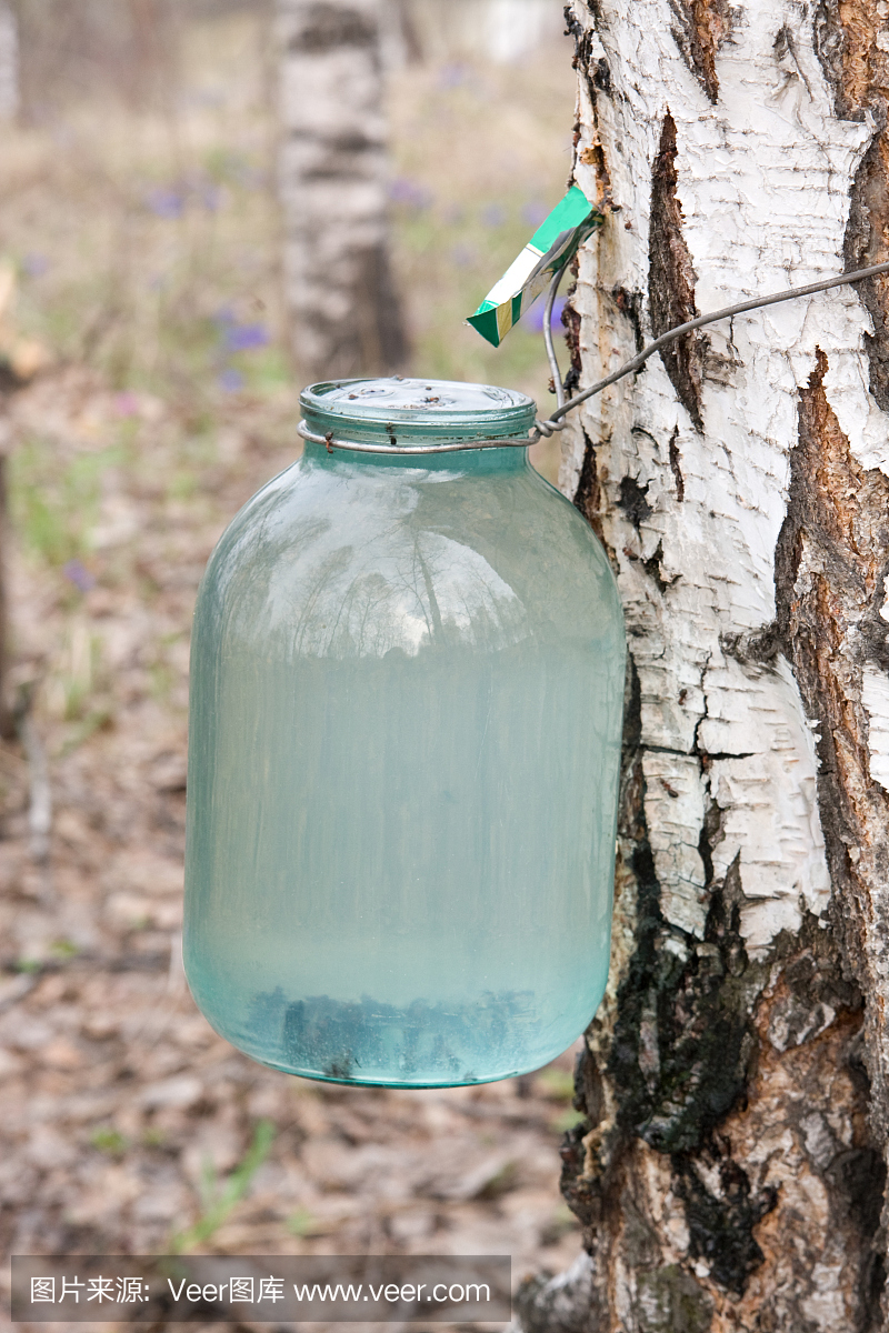 村庄复兴让村里大变样
