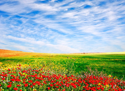 照片背景ps素材大图