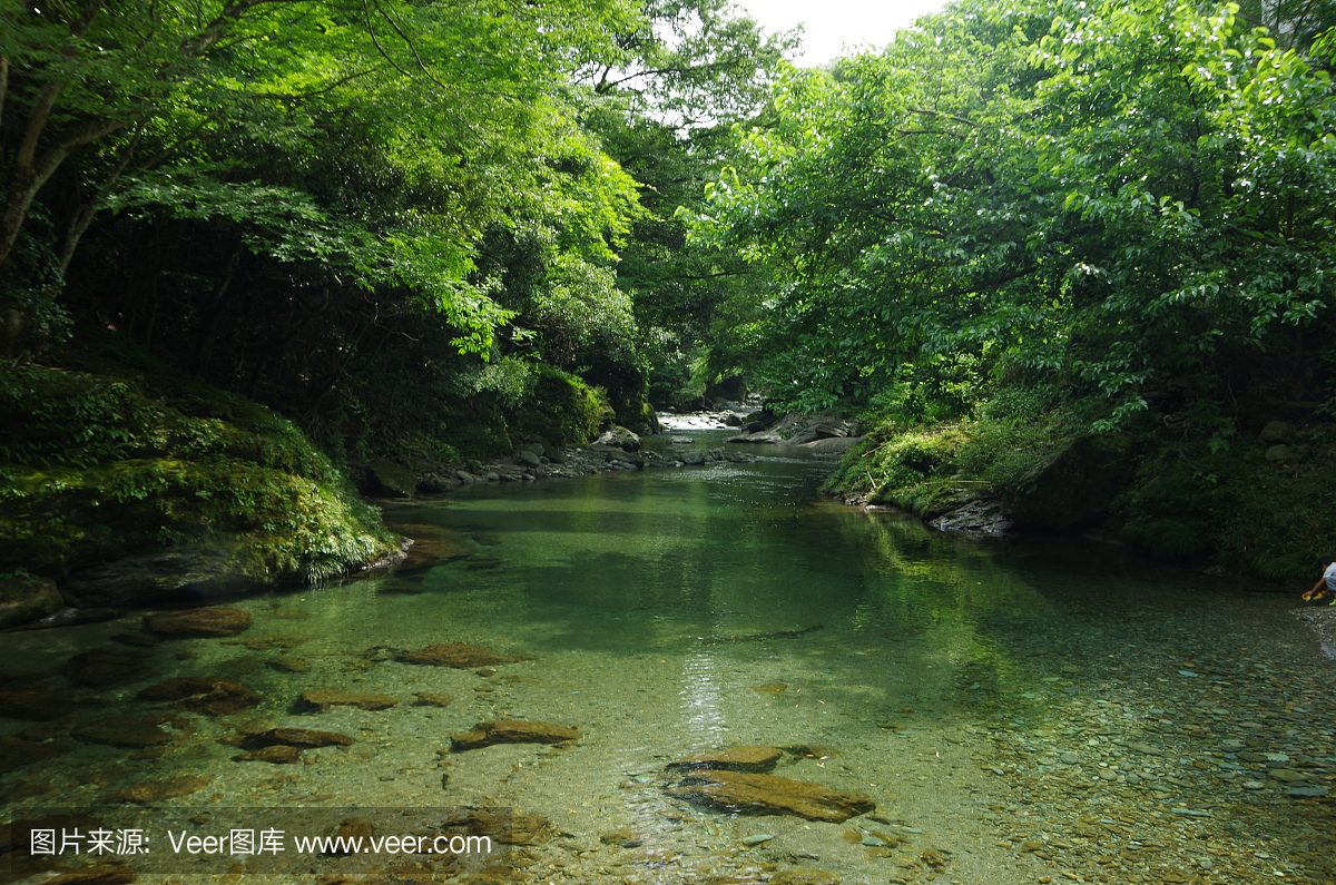在日本四国的绿色自然景观
