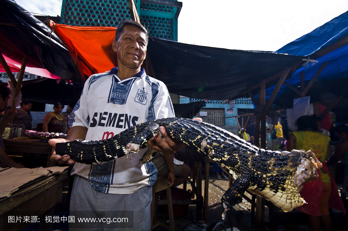 在亚马孙河镇黑市,贩卖一名死亡的黑凯门鳄的