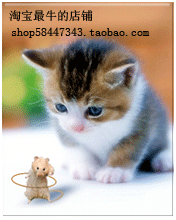 壁纸 动物 猫 猫咪 小猫 桌面 176_220 gif 动态图 动图