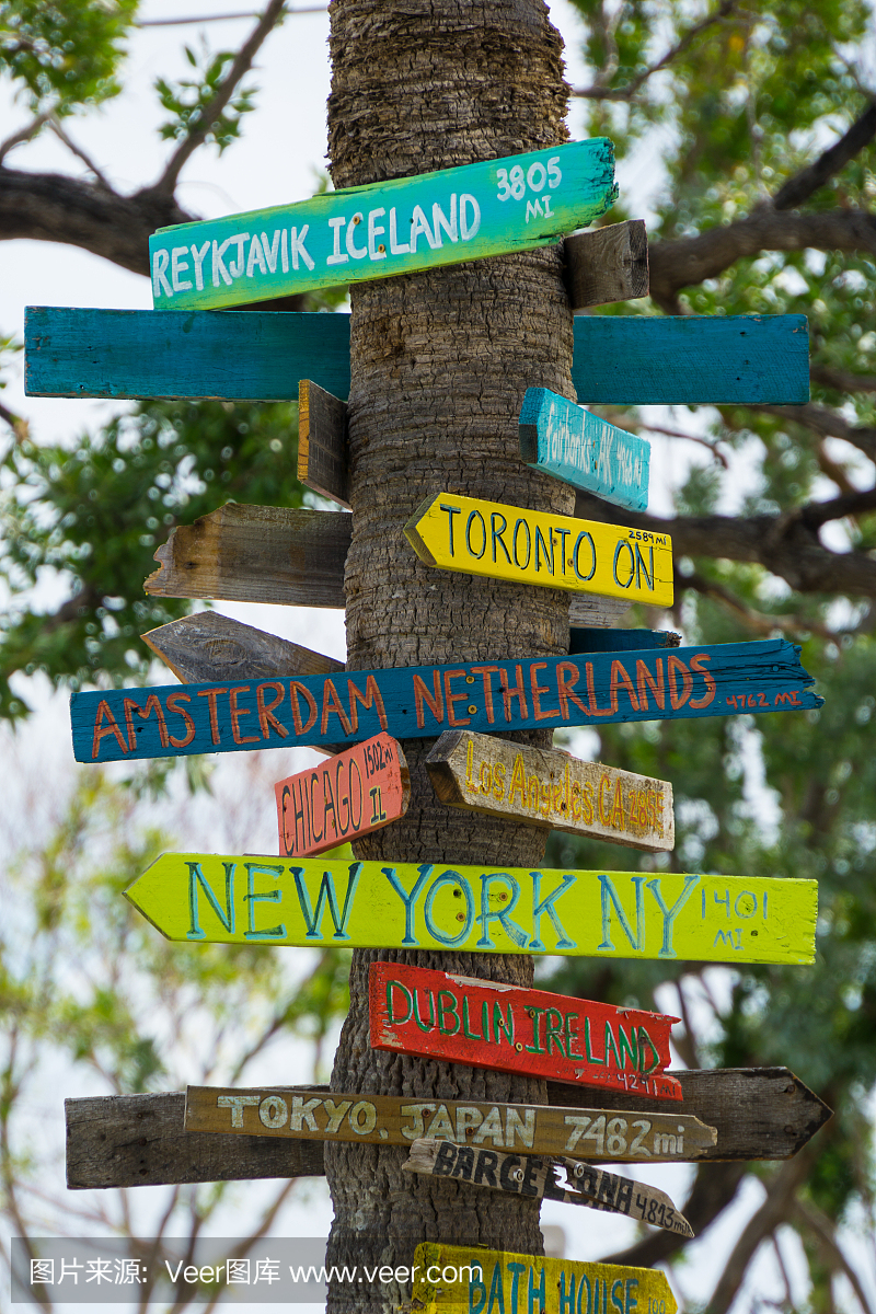 美国,佛罗里达州,方向标与棕榈树树干上的距离