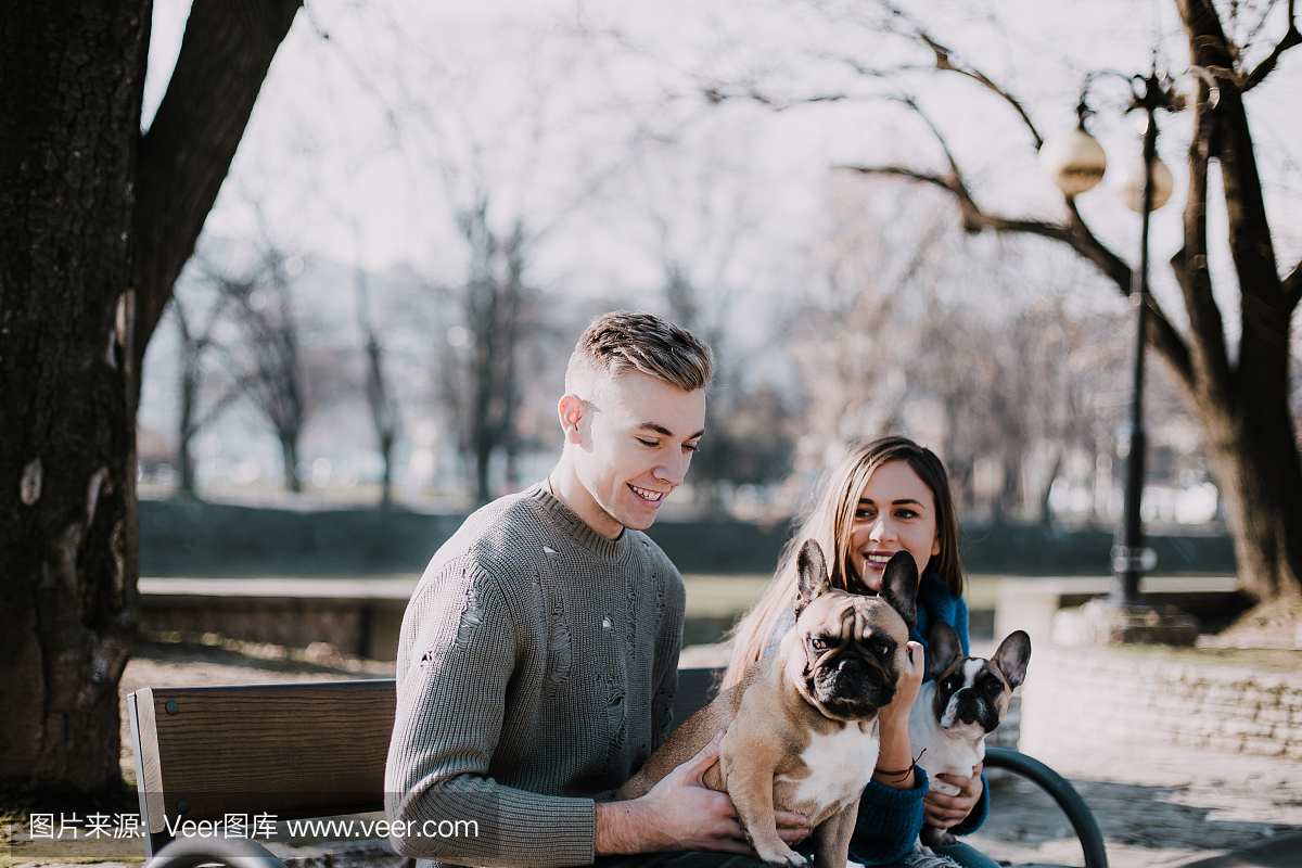 法国斗牛犬,法国斗牛,法斗,公园长椅