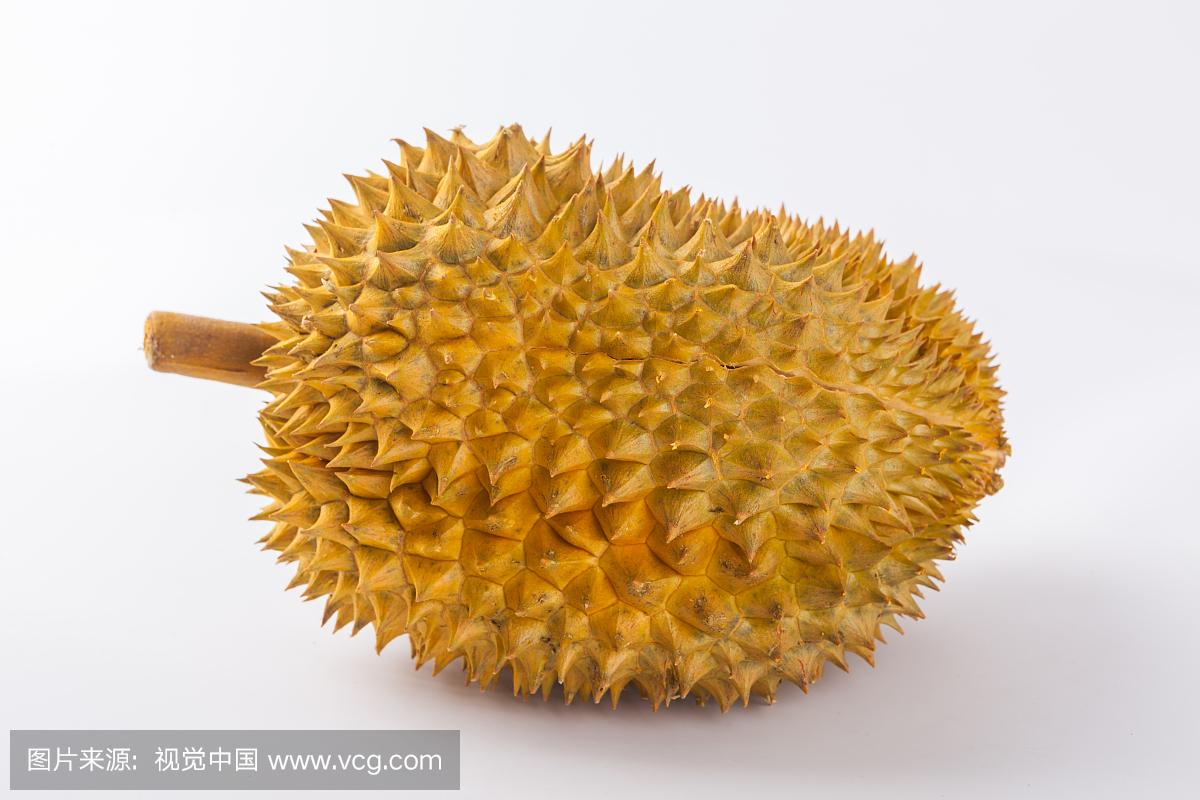 榴莲,留莲,榴莲果,榴连