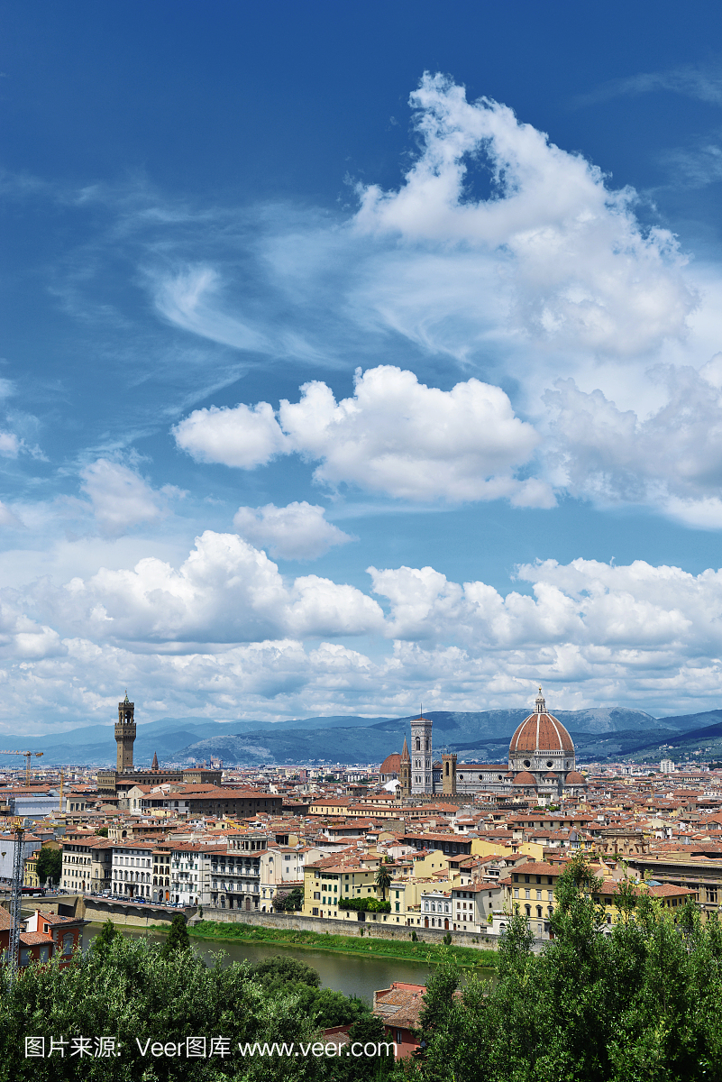 佛罗伦萨的垂直视图