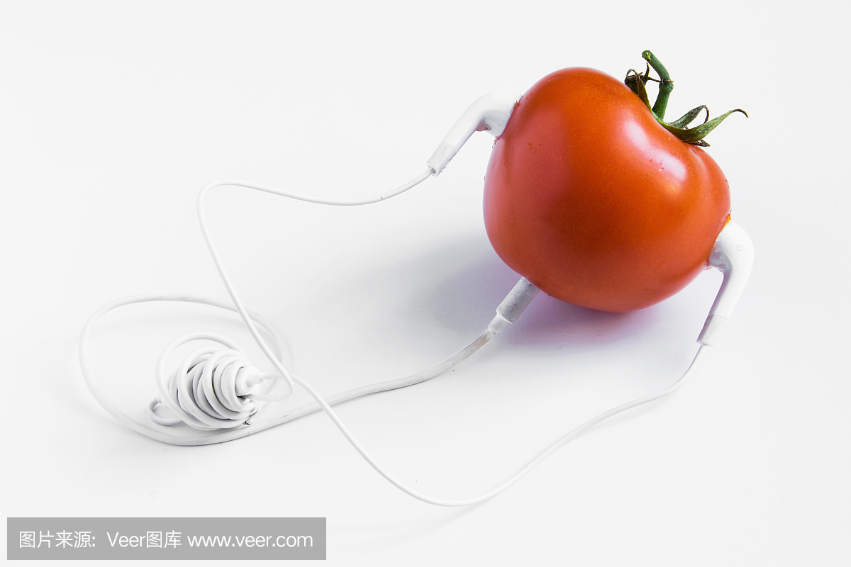 农业实验室,农业研究室,农业研究实验室,农产品