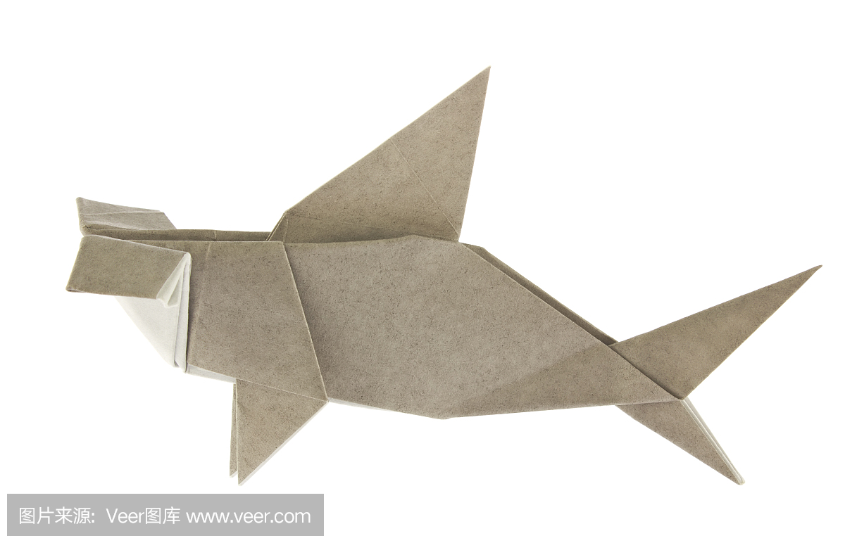 折纸的灰色锤头鲨