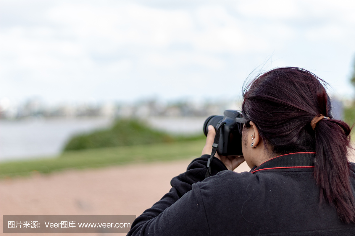 成功,一个人,拍照,北美歌雀