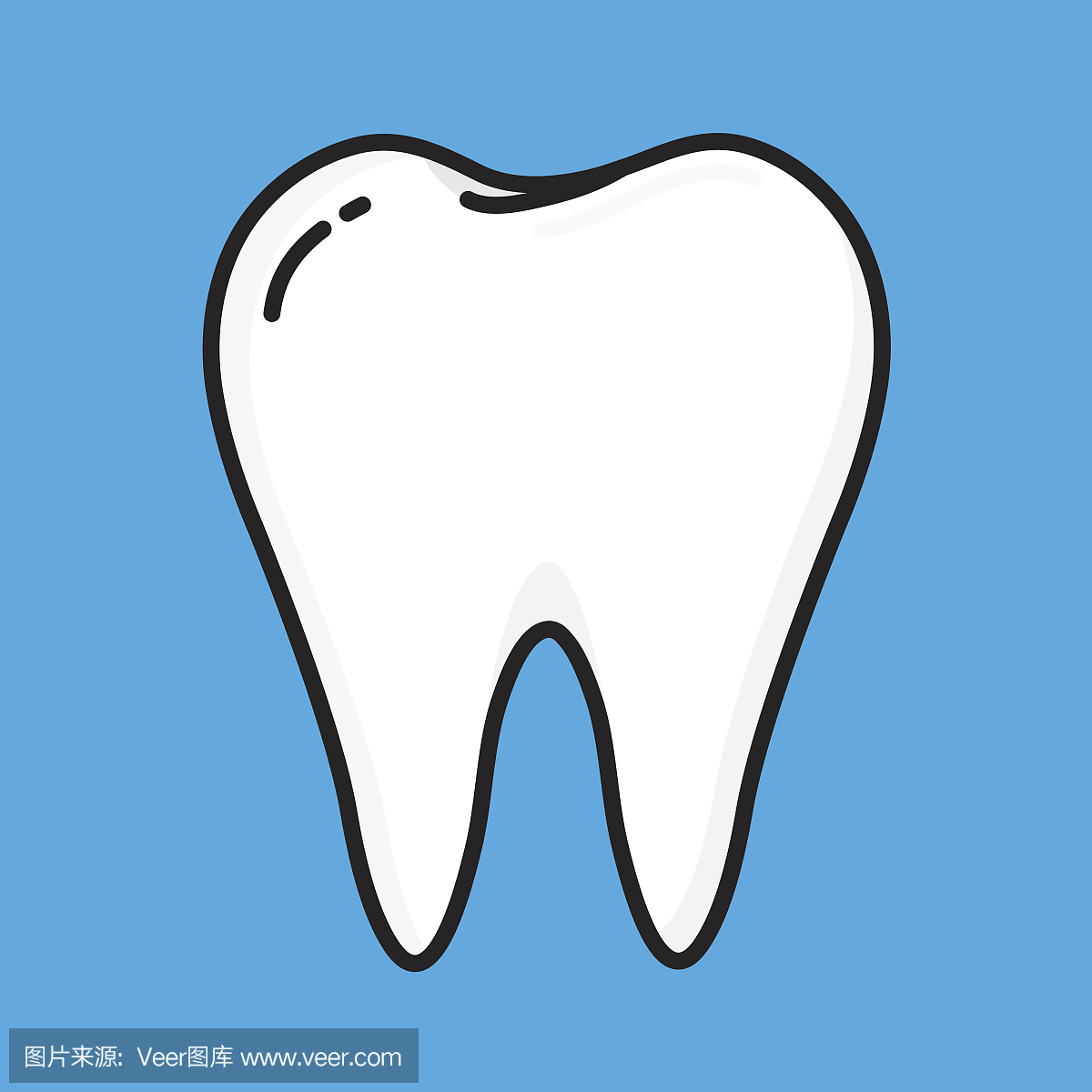 人的牙齿,人类牙齿,牙龈,人物牙齿