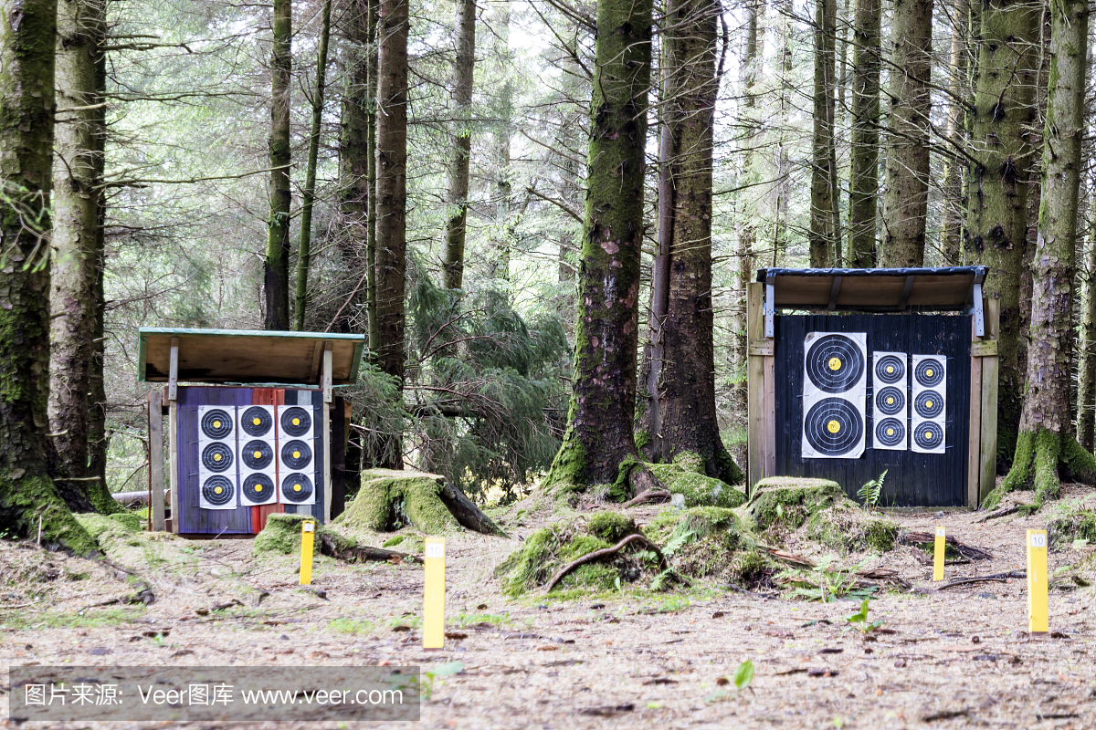 在森林里射击训练营