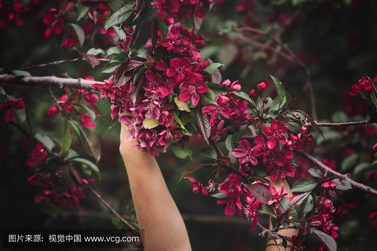 从一个小女孩的武器抓住鲜花