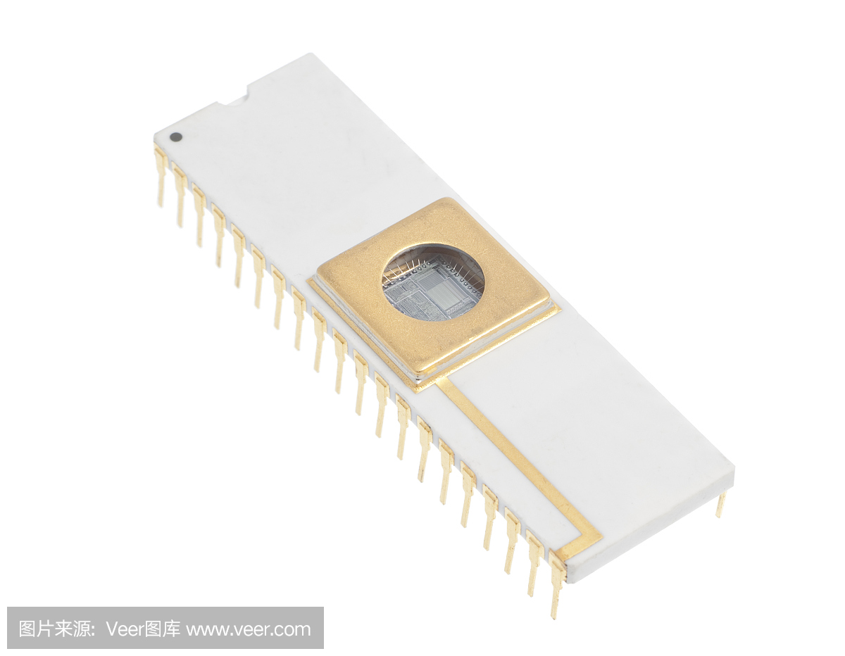集成电路与微处理器可见