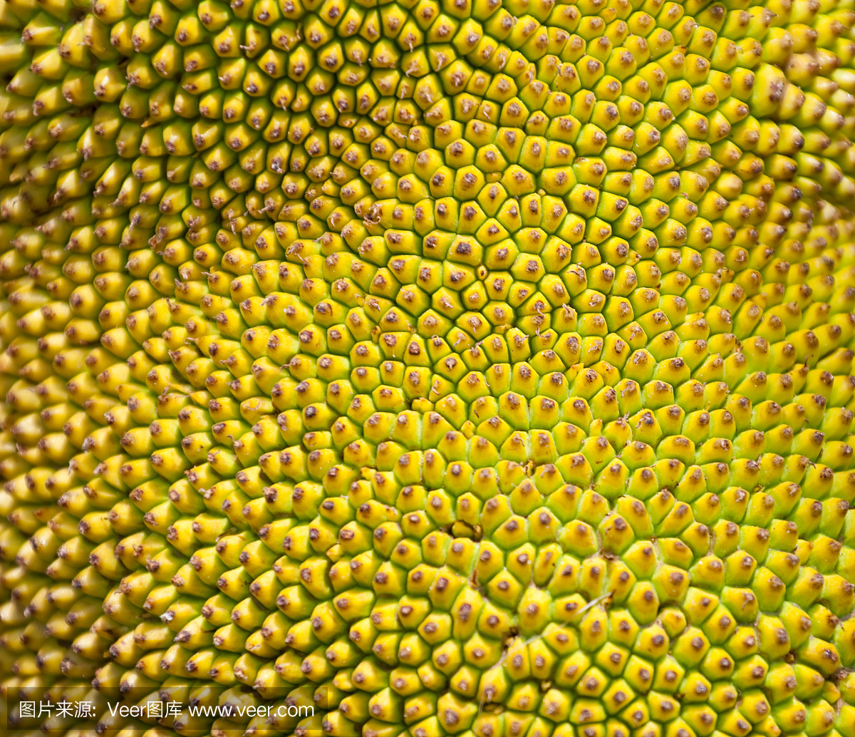 表面菠萝蜜关闭