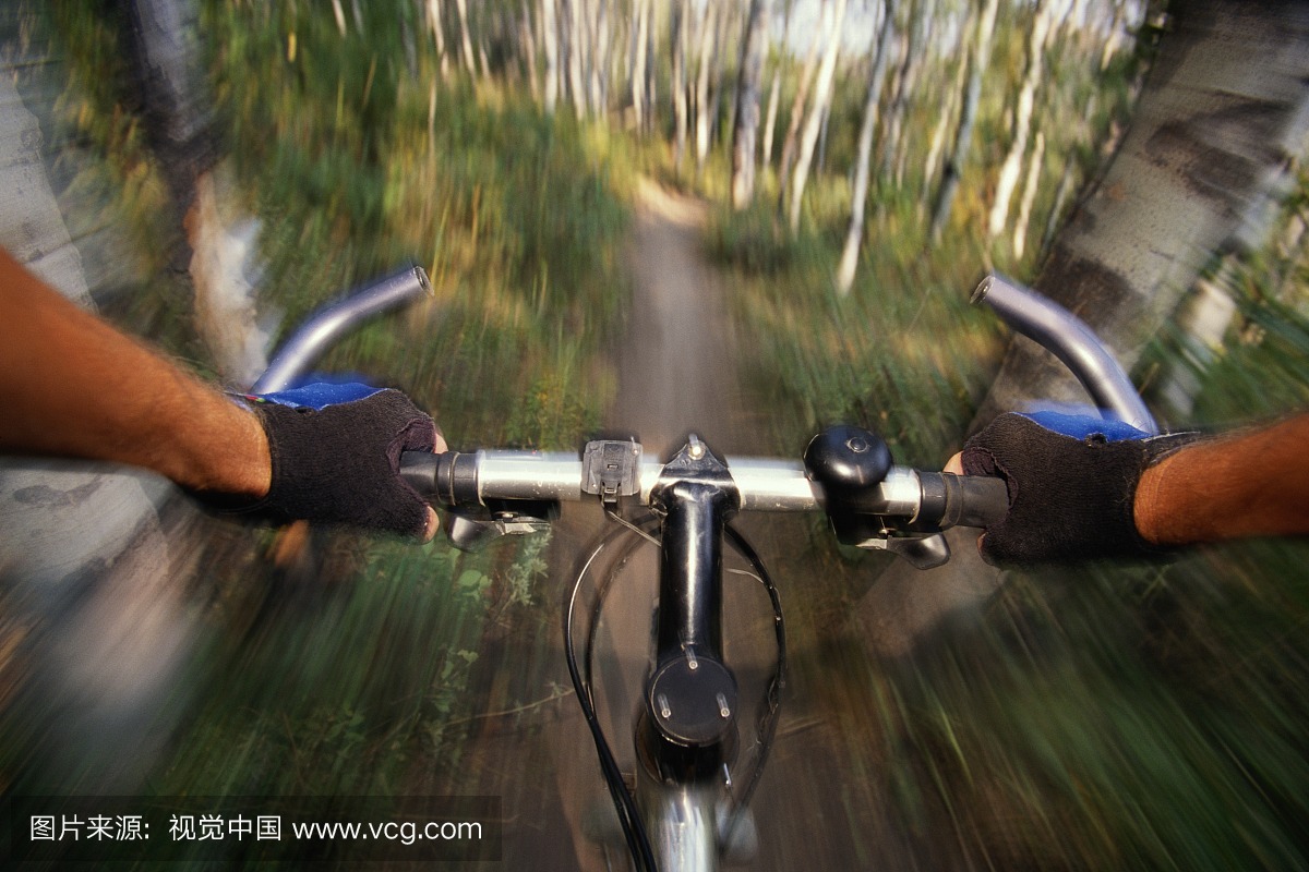 骑自行车在树林的车道,骑手的眼睛视图(模糊的