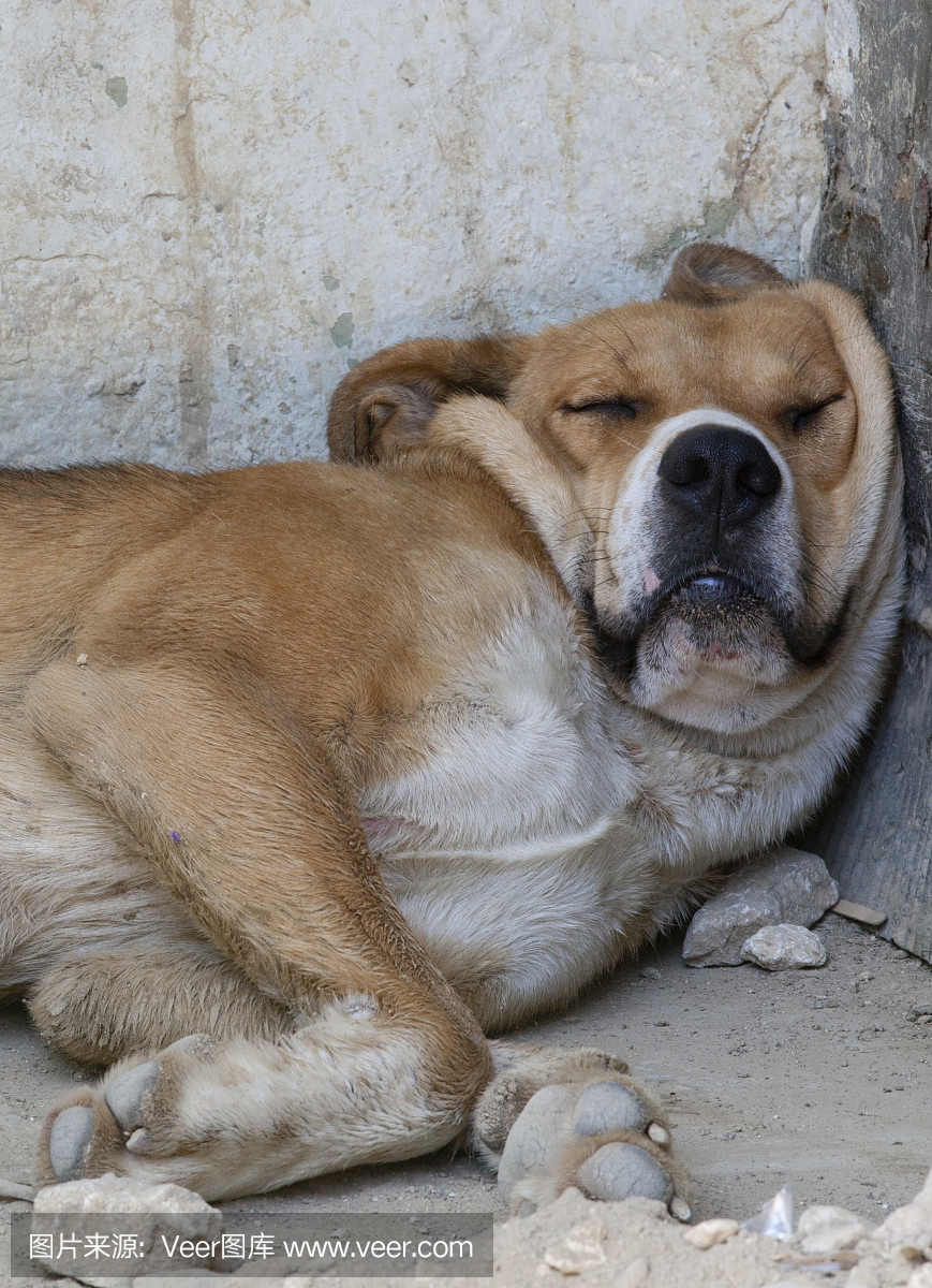 自然,垂直画幅,摄影,岩石