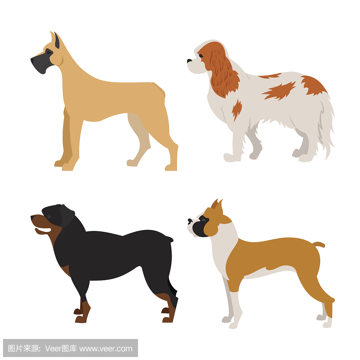 丹麦郡,丹麦人郡,丹麦县,戴恩军