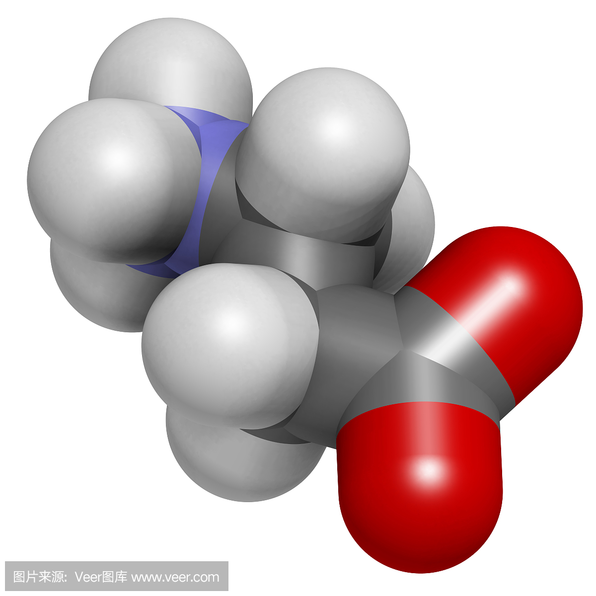 β-丙氨酸分子。天然存在的β氨基酸。