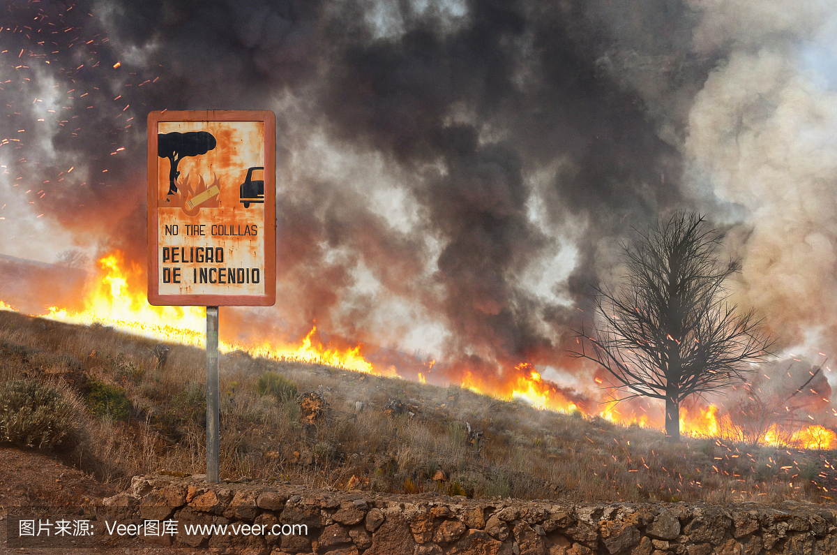 森林火灾和自然界的警告标志