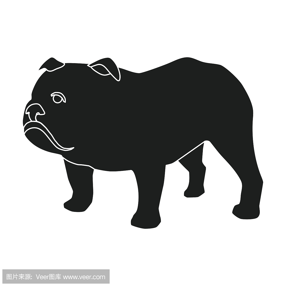 在白色背景上孤立的黑色风格的英文斗牛犬图标