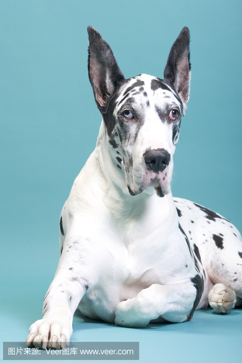 丹麦郡,丹麦县,丹麦人郡,戴恩县