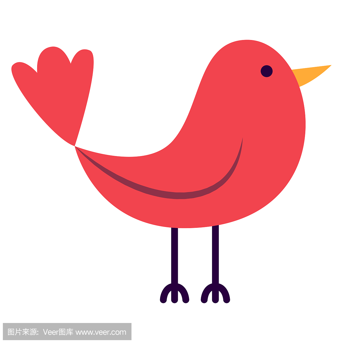 鸟鸣声,鸟鸣,鸟叫声,鸽子