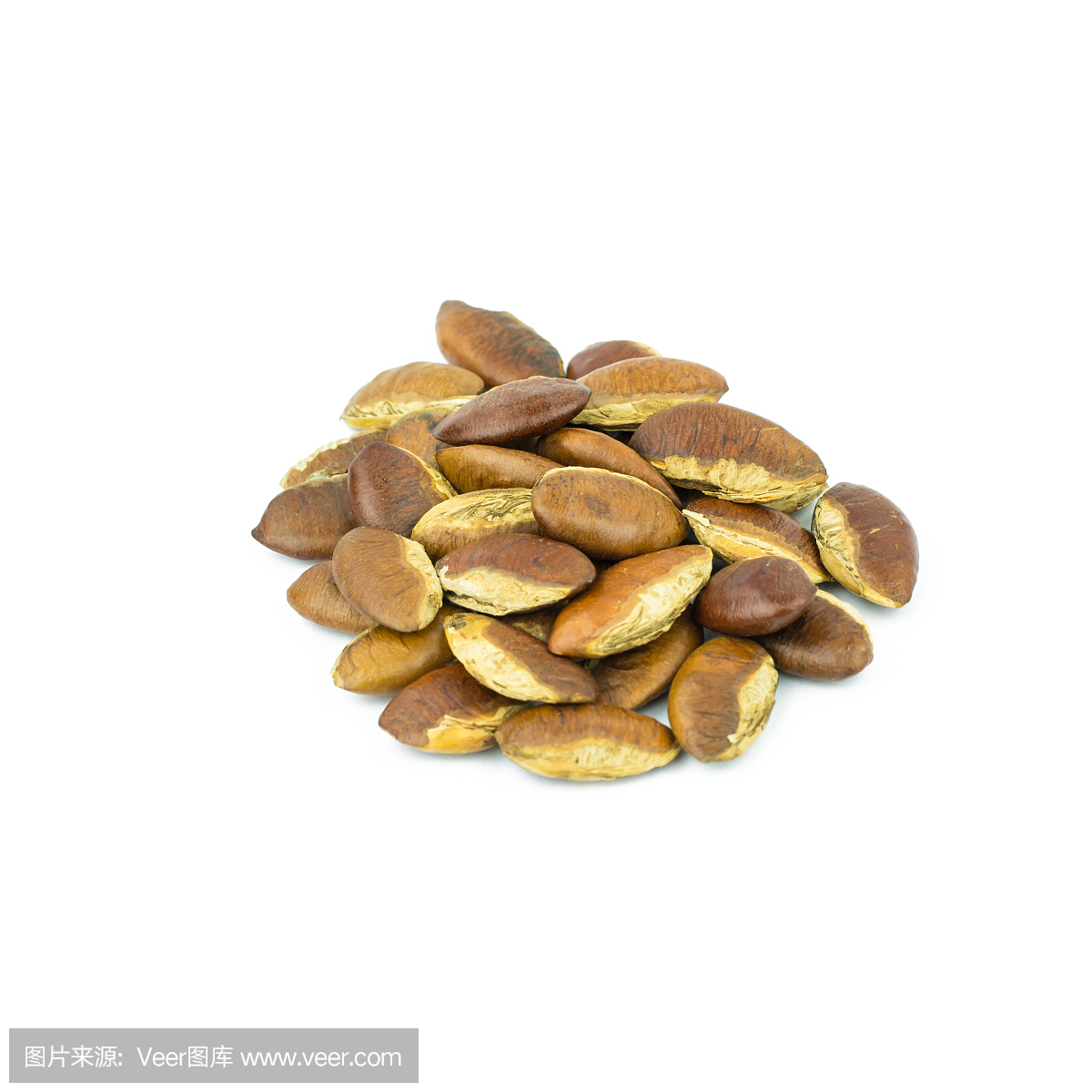 薄膜,表膜,坚果壳,坚果外壳