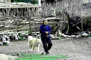 ... 电视剧连续剧篱笆女人和狗古船女人和网辘轳女_两性