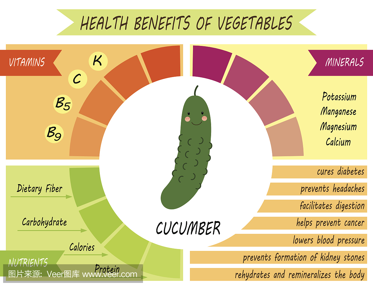 可爱的图表健康蔬菜的好处