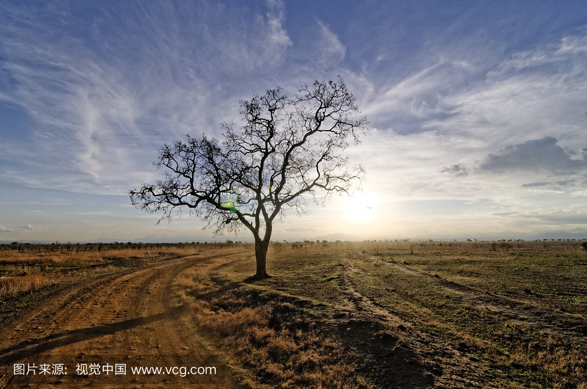 Mikumi National Park