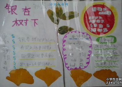 树叶手抄报大全图片