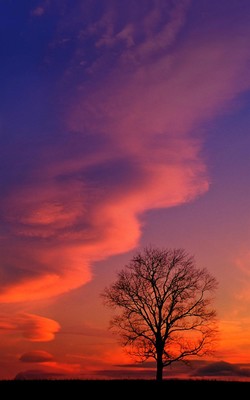 竖屏电脑壁纸_1080x1920竖屏超清壁纸_我的-156kb