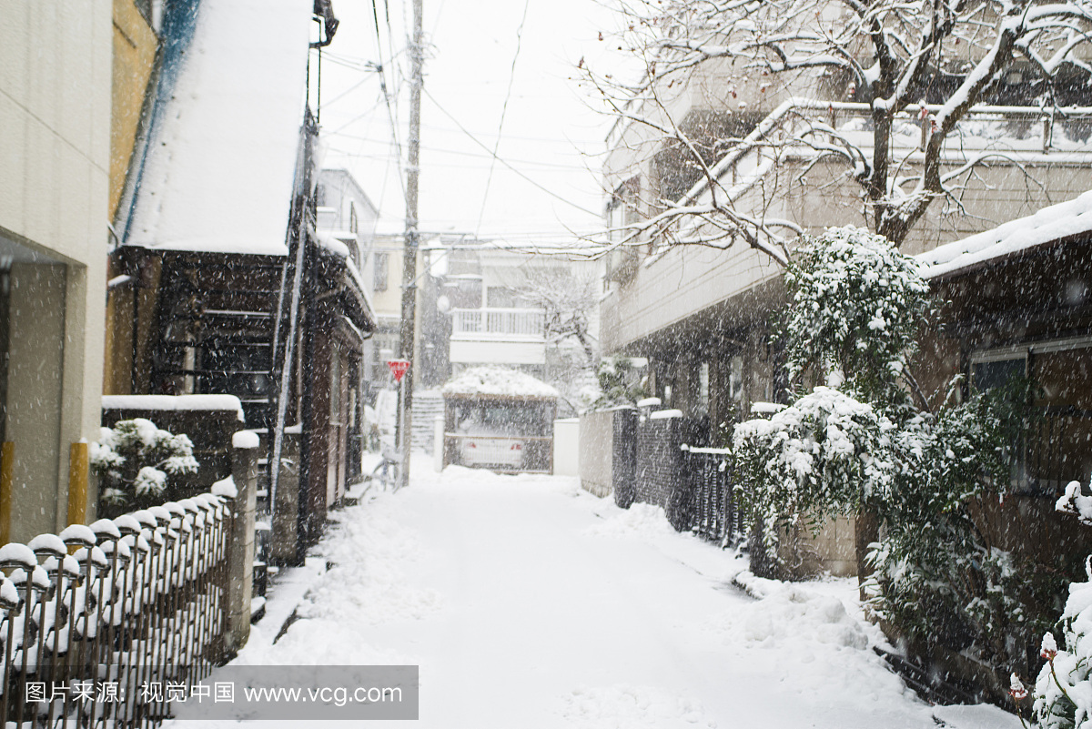 雪在东京,日本
