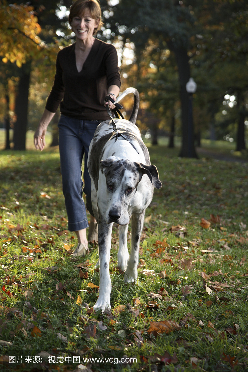 宠物,草,休闲装,白人