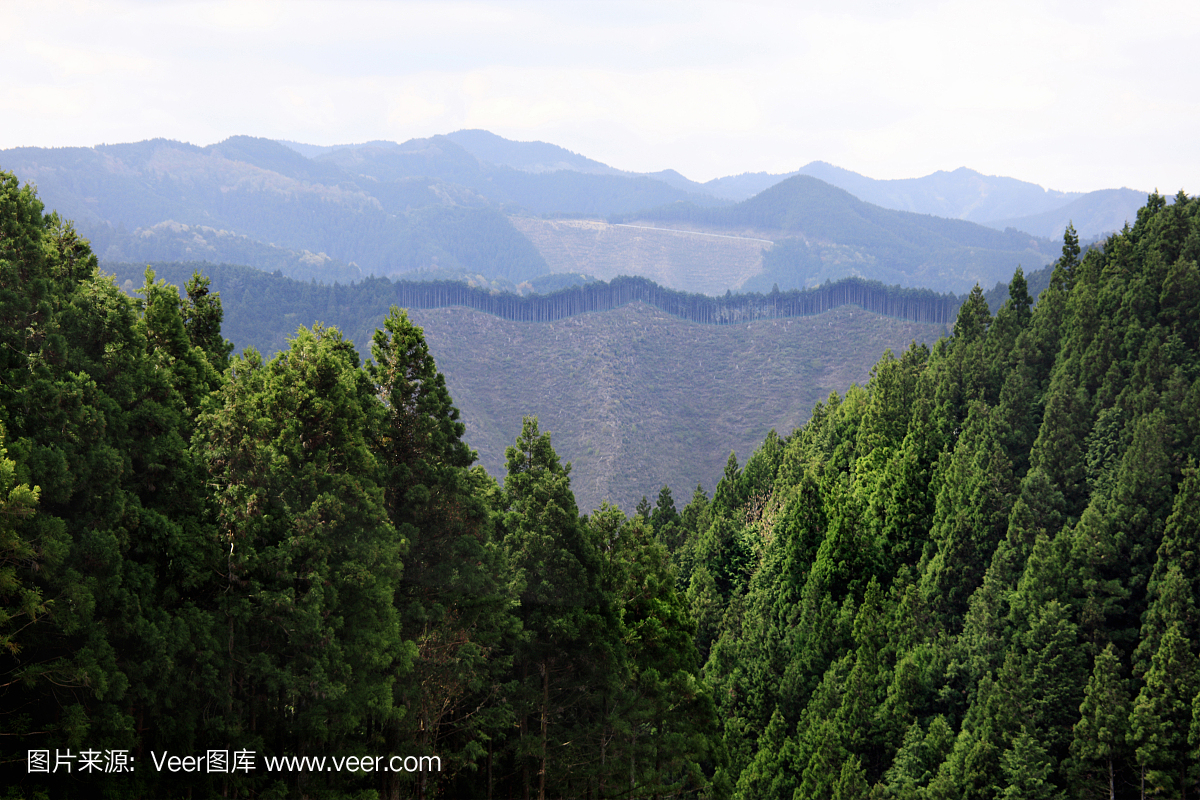 高野山,高野大山,和歌山县,和歌手动雨燕山区门锁后背图片