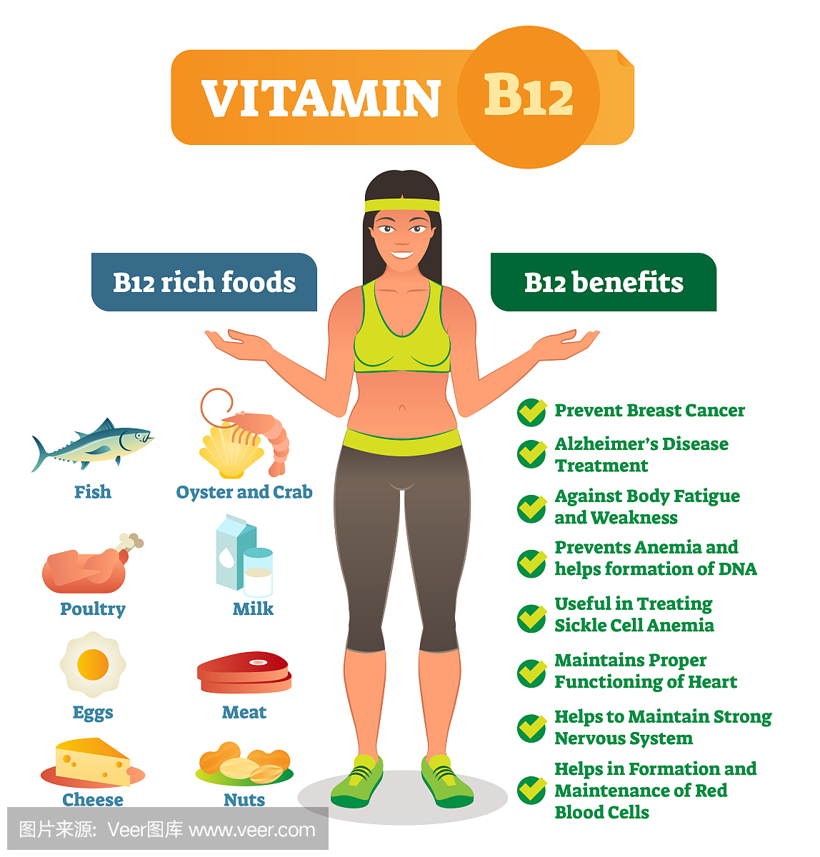维生素B12丰富的食物图标和健康的好处列表,