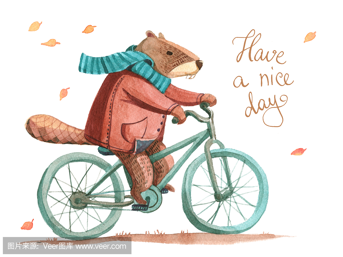 水彩画。海狸在外套和围巾骑自行车