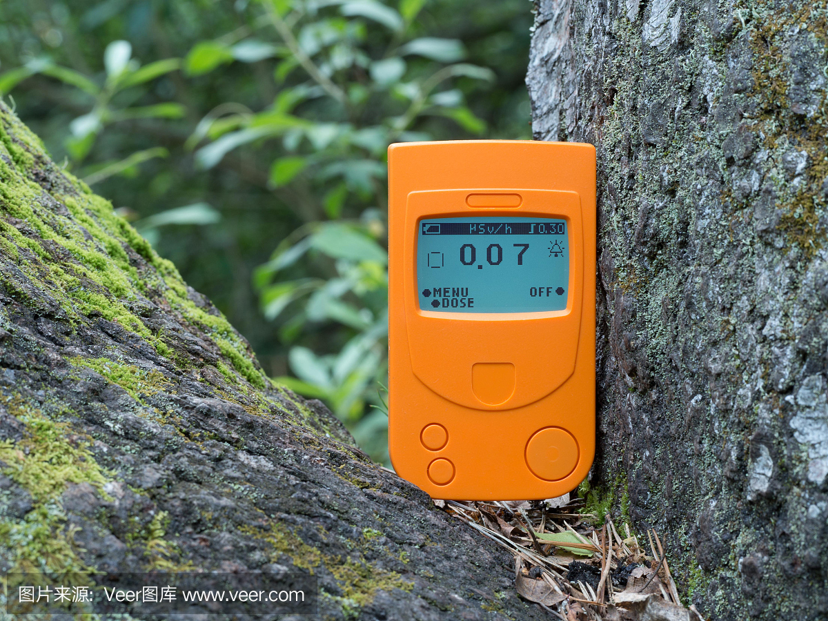 盖革计数器,辐射剂量计测量桦树树干间森林中