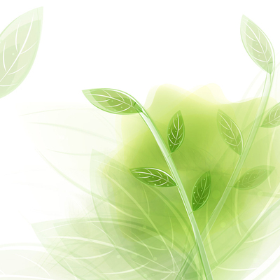 清新淡雅绿色高清平板壁纸-359kb