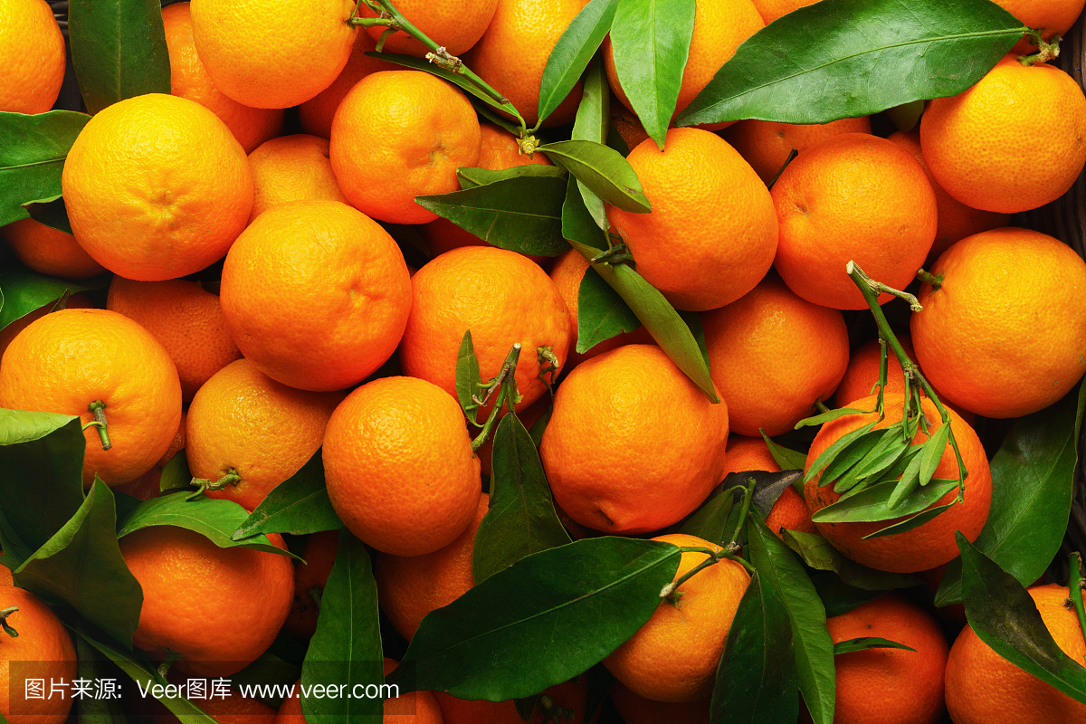 橘子(橘子,桔子,柑桔,柑橘类水果)具有叶背景。