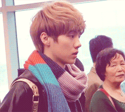 《闪动字鹿晗》,鹿晗qq头像带字,exo鹿晗图片-960kb