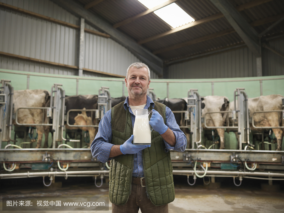 在牛奶场的旋转挤奶室的农民的肖像