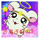 2013最新qq问候动态表情大全 近来过得好吗-q-44kb