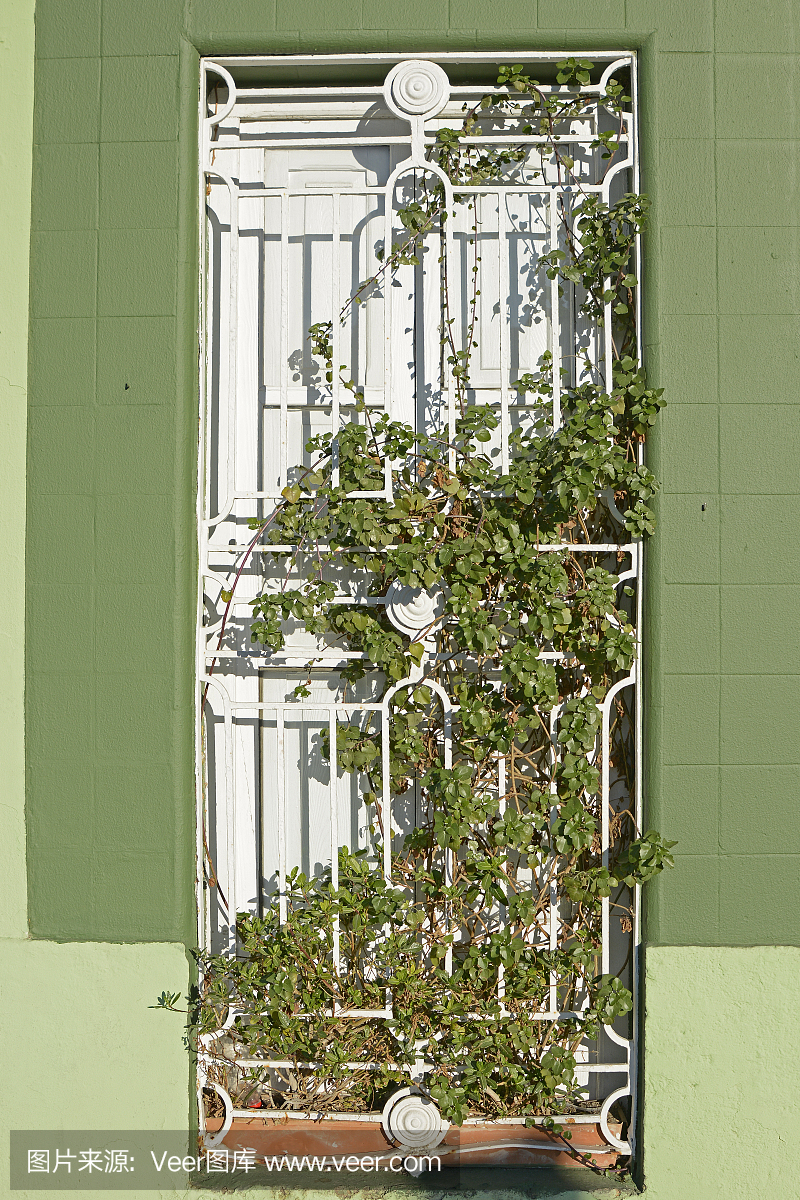 安全护栏,防盗网,巴伦西亚省,瓦伦西亚