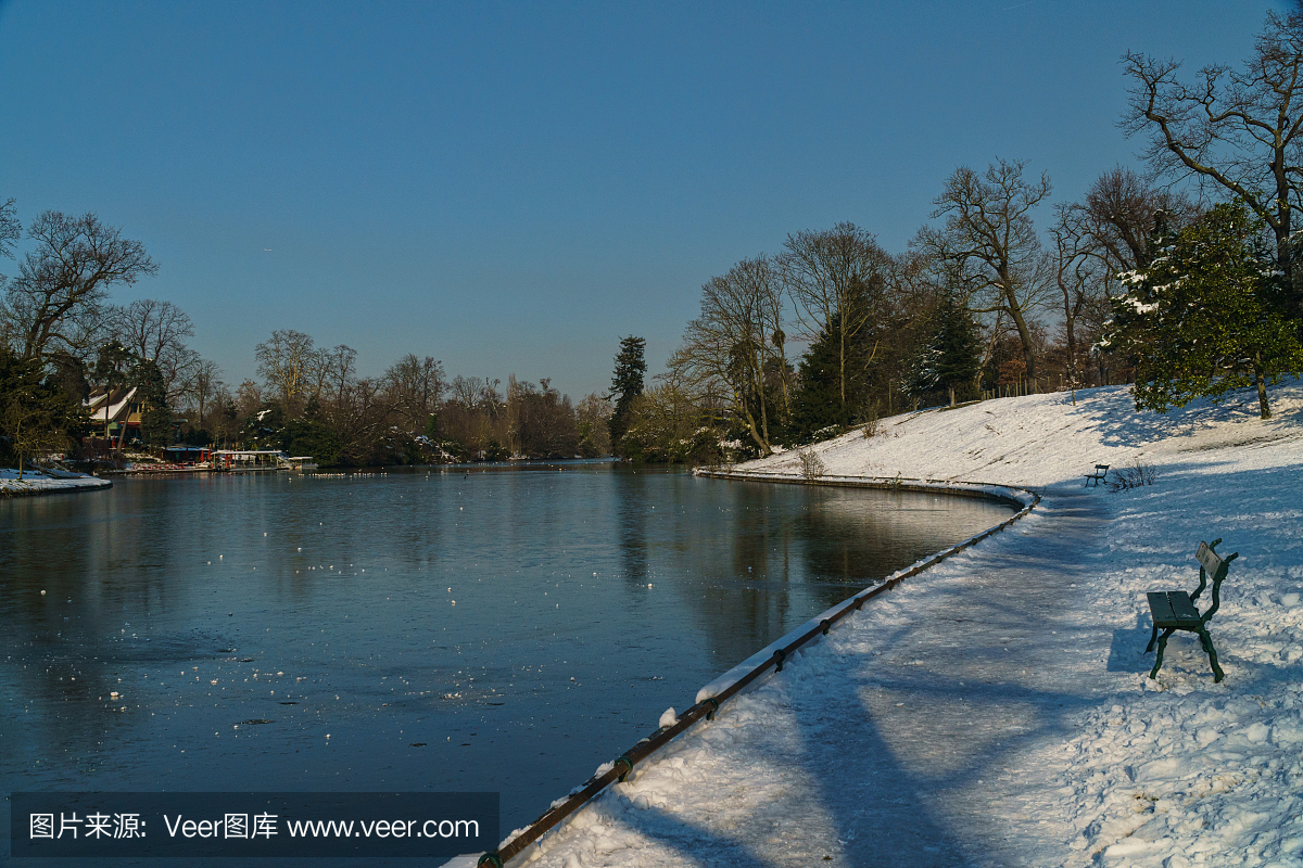 布洛涅森林,滨海市洛涅,布劳涅森林,摄影